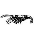 Crawfish vector eps Hand drawn, Vector, Eps, Logo, Icon, crafteroks, silhouette Illustration for different uses Royalty Free Stock Photo