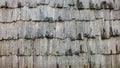 A Long house in the reconstructed 15th century Crawford Lake Iroquoian Village