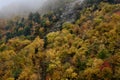 Crawford Notch State Park