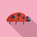 Crawl nature art icon flat vector. Ladybug adorable