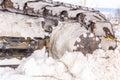 crawler excavator drive gear is covered with compressed snow in winter Royalty Free Stock Photo