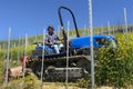 Crawler tractor driver works among the rows of vineyards