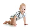 Crawling baby boy Royalty Free Stock Photo