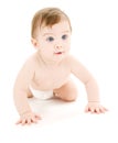 Crawling baby boy Royalty Free Stock Photo