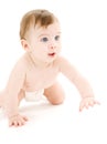 Crawling baby boy in diaper Royalty Free Stock Photo