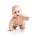 Crawling baby girl isolated on white background Royalty Free Stock Photo