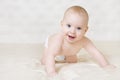 Crawling Baby, Happy Kid Boy Indoors Portrait, Infant Child