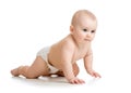 Crawling baby isolated on white background Royalty Free Stock Photo