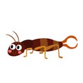 Earwig animal cartoon character vector illustration