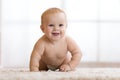 Crawling funny baby boy at home Royalty Free Stock Photo