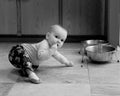 Crawling infant attempts to eat pet dog food Royalty Free Stock Photo