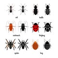 Crawling insects vector set - ant, spider, beetle, ladybug