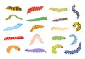 crawling worms. caterpillars grasshopper collection biology, ecology concept, cartoon funny fantasy fairy tale worms