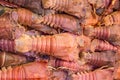 Crayfish background sale in market in Thailand