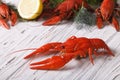 Crayfish boiled with lemon close up on a table. Horizontal