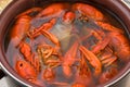 Crayfish boiled in a pan