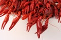 Crayfish cooked Royalty Free Stock Photo