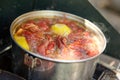 Crayfish cooking with lemon in pot Royalty Free Stock Photo