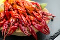 Crayfish, Crawfish closeup. Red boiled crayfish in wooden plate with herbs and lemon on stone slate dark background. Crawfishes Royalty Free Stock Photo