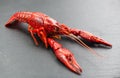 Crayfish, Crawfish closeup. Red boiled one river crayfish on stone slate dark background. Lobster closeup Royalty Free Stock Photo
