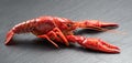 Crayfish, Crawfish closeup. Red boiled one river crayfish on stone slate dark background. Lobster closeup Royalty Free Stock Photo