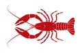 Red Craw fish Clipart