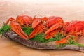 Crayfish and fish for Beer Royalty Free Stock Photo