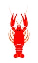 Crayfish icon. Red river lobster, langoustine or crustacean delicacies isolated on white background. Seafood design