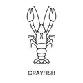 Crayfish line icon in vector, seafood illustration