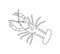 Crayfish, lobster continuous line drawing. One line art of arthropods, seafood, marine animals.