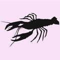 Crayfish lobster vector