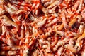 Crayfish Nephrops Norvegicus seafood market Royalty Free Stock Photo