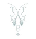 Crayfish outline Linear style isolated. Marine crustacean Delicacy. Vector illustration