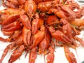 Crayfish party Royalty Free Stock Photo