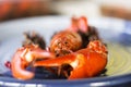 Crayfish on a plate with selective blur