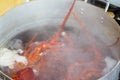 Crayfish Pot