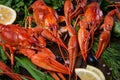 Crayfish. Red boiled crawfishes on table in rustic style, closeup. Lobster closeup.