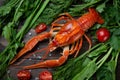 Crayfish. Red boiled crawfishes on table in rustic style, closeup. Lobster closeup.