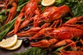 Crayfish. Red boiled crawfishes on table in rustic style, closeup. Lobster closeup.