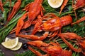 Crayfish. Red boiled crawfishes on table in rustic style, closeup. Lobster closeup.