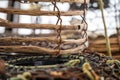 crayfish traps on a fishing boat. lobster wooden pots on the back of a fishing ship in australia Royalty Free Stock Photo