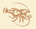 Crayfish. Vector drawing Royalty Free Stock Photo