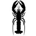 Crayfish vector illustration black silhouette realistic