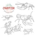 Crayfish vector set.
