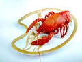 Crayfish on the white plate . lobster, delicious