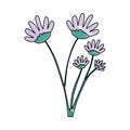 Crayon silhouette of hand drawing lilac color daisy flower bouquet with several ramifications