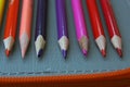 Crayons in various colors. Colorful crayons. Preschool equipment. Royalty Free Stock Photo