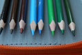 Crayons in various colors. Colorful crayons. Preschool equipment. Royalty Free Stock Photo