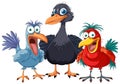Crazy Bird Cartoon Royalty Free Stock Photo