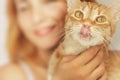 Crazy cat licks nose Royalty Free Stock Photo